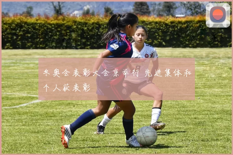 冬奥会表彰大会京举行 先进集体和个人获表彰