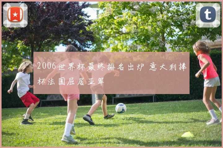 2006世界杯最终排名出炉 意大利捧杯法国屈居亚军